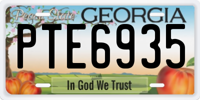 GA license plate PTE6935