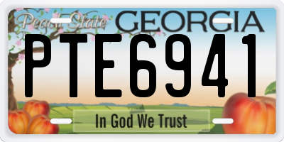 GA license plate PTE6941