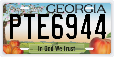 GA license plate PTE6944