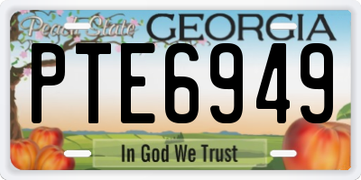 GA license plate PTE6949
