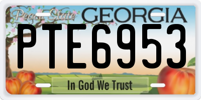GA license plate PTE6953