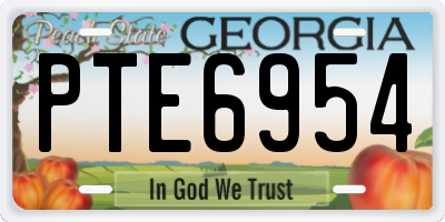 GA license plate PTE6954