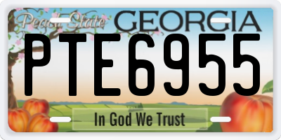 GA license plate PTE6955