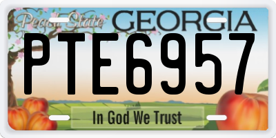 GA license plate PTE6957