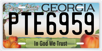GA license plate PTE6959