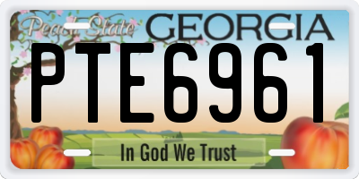 GA license plate PTE6961