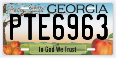 GA license plate PTE6963