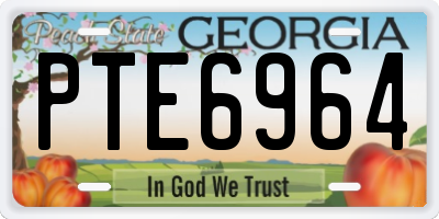 GA license plate PTE6964