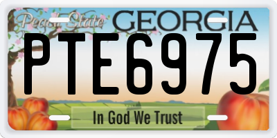 GA license plate PTE6975
