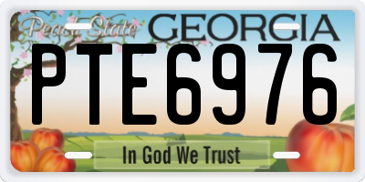 GA license plate PTE6976