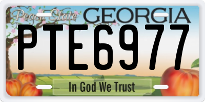 GA license plate PTE6977