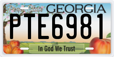 GA license plate PTE6981