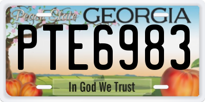 GA license plate PTE6983
