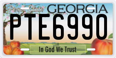 GA license plate PTE6990