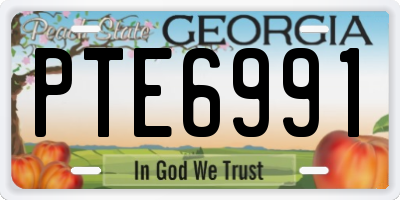 GA license plate PTE6991