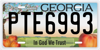 GA license plate PTE6993