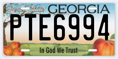 GA license plate PTE6994