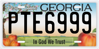GA license plate PTE6999