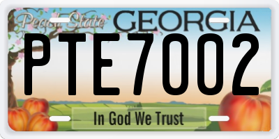 GA license plate PTE7002