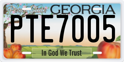 GA license plate PTE7005