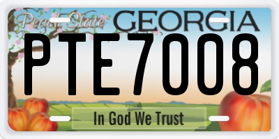 GA license plate PTE7008