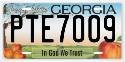 GA license plate PTE7009