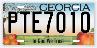 GA license plate PTE7010