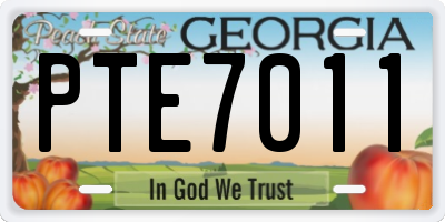 GA license plate PTE7011