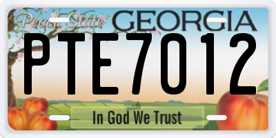 GA license plate PTE7012