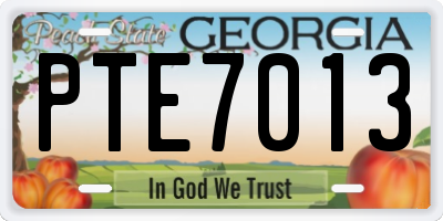 GA license plate PTE7013