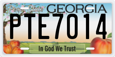 GA license plate PTE7014