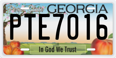 GA license plate PTE7016