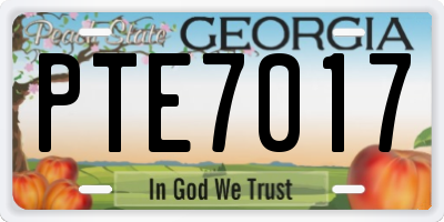 GA license plate PTE7017