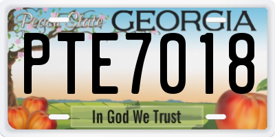 GA license plate PTE7018