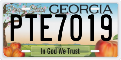GA license plate PTE7019