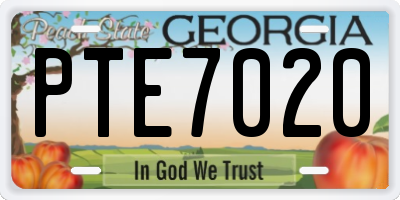 GA license plate PTE7020
