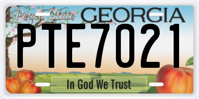 GA license plate PTE7021