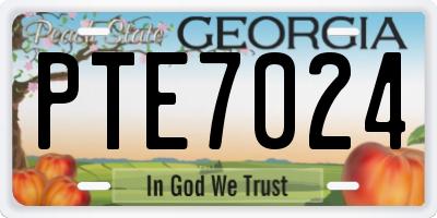 GA license plate PTE7024