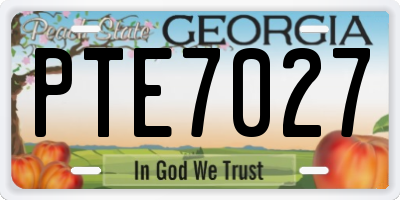 GA license plate PTE7027