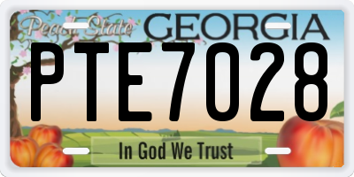 GA license plate PTE7028