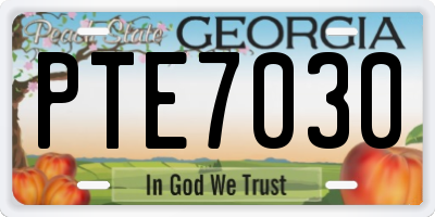 GA license plate PTE7030
