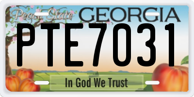 GA license plate PTE7031