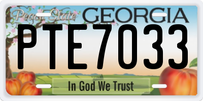 GA license plate PTE7033