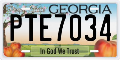GA license plate PTE7034