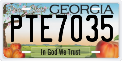 GA license plate PTE7035