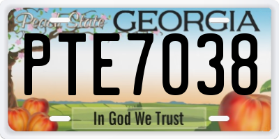 GA license plate PTE7038