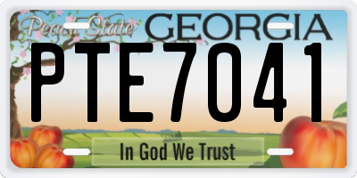 GA license plate PTE7041