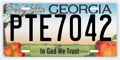 GA license plate PTE7042