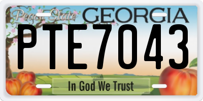 GA license plate PTE7043