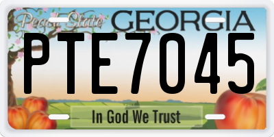 GA license plate PTE7045